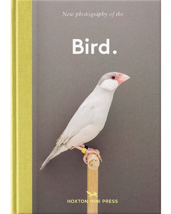 New photography of the Bird • Gemma Padly