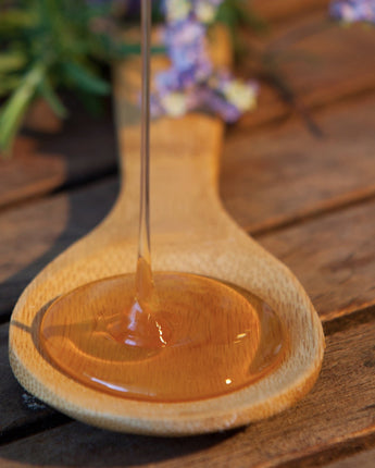 Cloister Traditional Honey • Sourwood