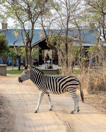 Safari Style: Exceptional African Camps and Lodges • Melissa Biggs Bradley