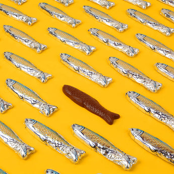 Les Chocolats des Francais • 4 sardines en chocolat