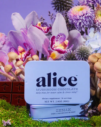 Mushroom Chocolate - Zen-x