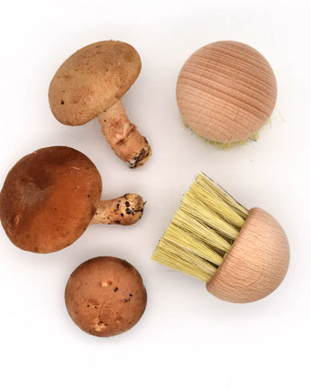 Mushroom Brush