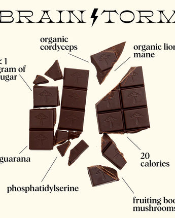 Mushroom Chocolate - Brainstorm