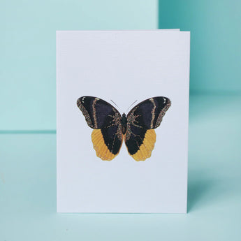 TokyoMilk Butterfly Greeting Card