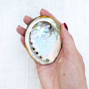 Pour Vida Mama Earth Abalone Shell • 3 Sizes